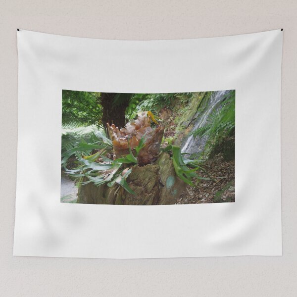 Item preview, New Life (Staghorn Fern) designed and sold by lezvee.