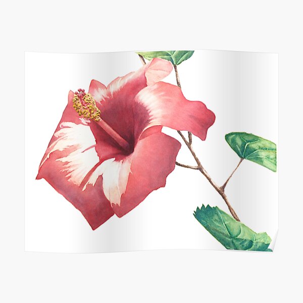 Tropical Treasure Poster