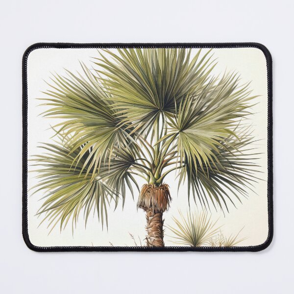Item preview, Palmetto Botanical Illustration designed and sold by EverettAtlas.