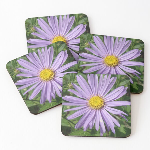 Item preview, Pretty Purple Aster Michaelmas Daisy Flower Photograph designed and sold by naturegallery.
