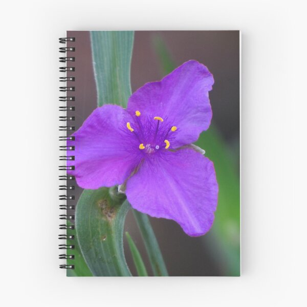 Item preview, Purple Flower designed and sold by David D. Shaw.