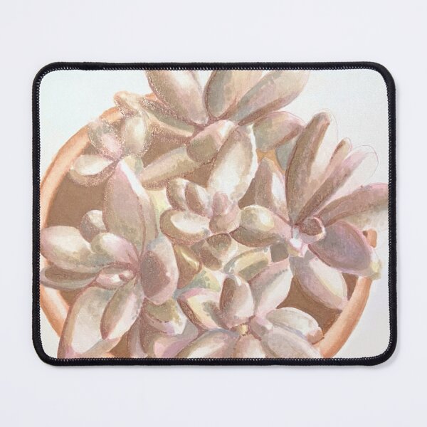 Item preview, Potted Pink Moonstone Succulents  designed and sold by AnxiousArt86.