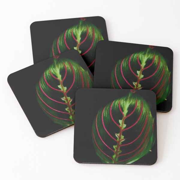 Item preview, Loner leaf  designed and sold by Kaurjas.