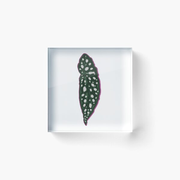 Item preview, Begonia Angel Wing designed and sold by Texicola.