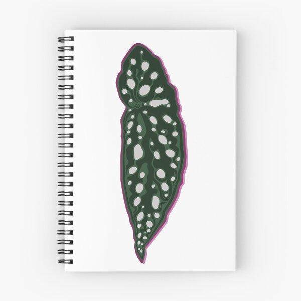 Item preview, Begonia Angel Wing designed and sold by Texicola.