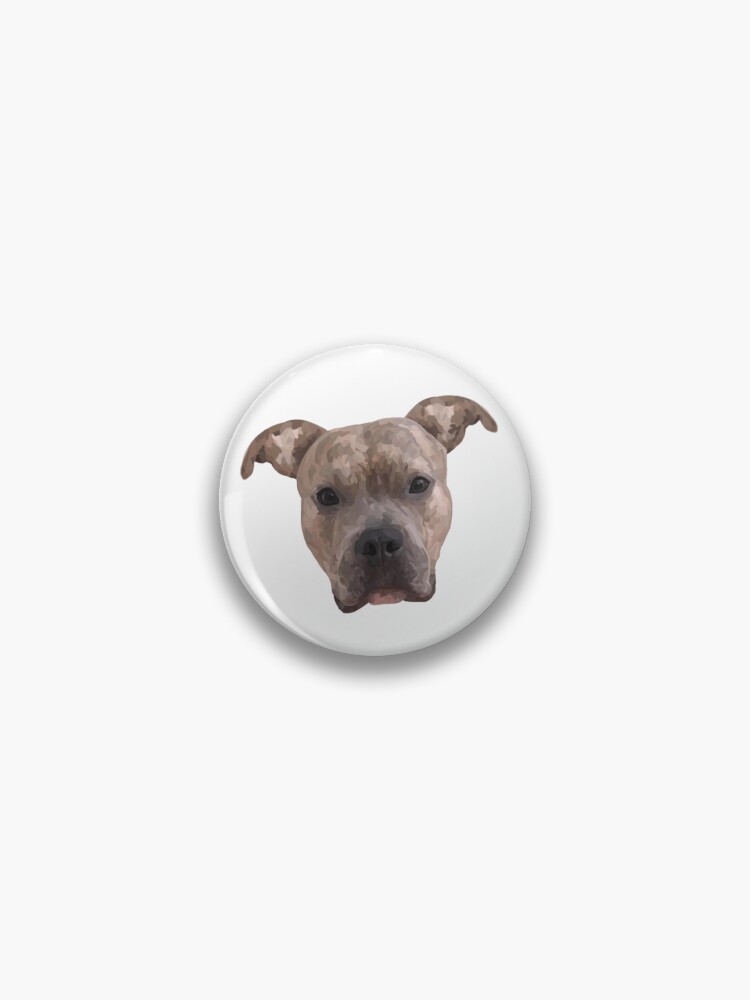 Pin on Pit bull