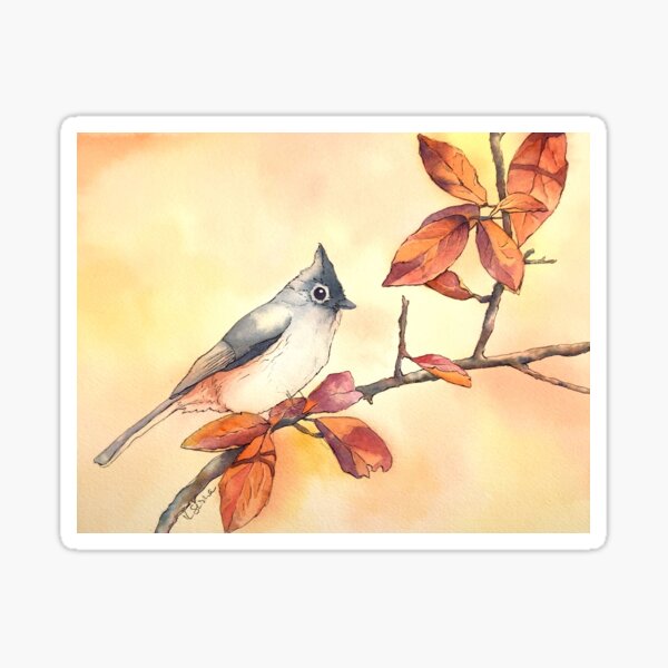 Tufted Titmouse Original Watercolor Painting Sticker