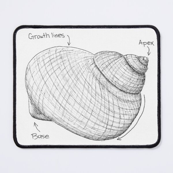 Item preview, Sea Snail Journal Sketch designed and sold by SarehPuetz.