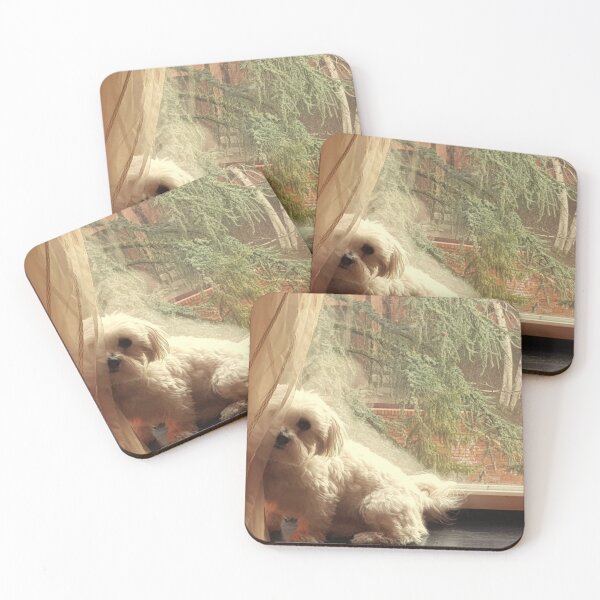 Item preview, White dog peeks behind the curtain designed and sold by ArtistryHQ.
