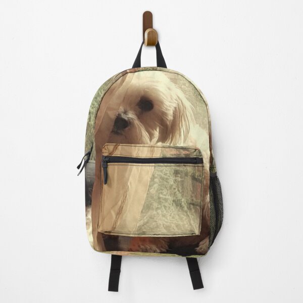 Item preview, White dog peeks behind the curtain designed and sold by ArtistryHQ.