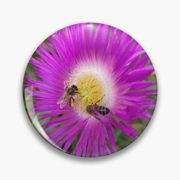 Item preview, Bees flying on Echinacea flower in spring  designed and sold by Donutlovers.