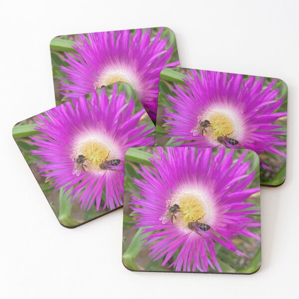 Item preview, Bees flying on Echinacea flower in spring  designed and sold by Donutlovers.