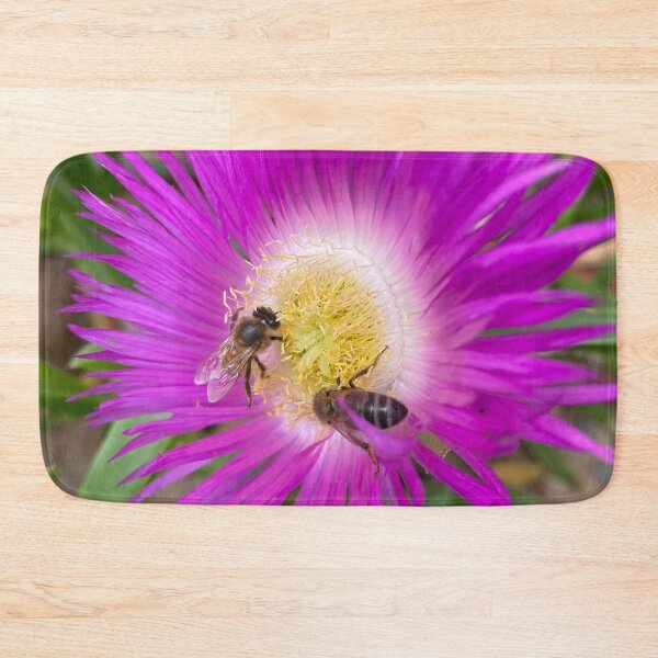 Item preview, Bees flying on Echinacea flower in spring  designed and sold by Donutlovers.