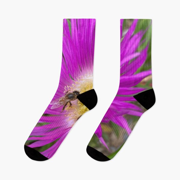 Item preview, Bees flying on Echinacea flower in spring  designed and sold by Donutlovers.