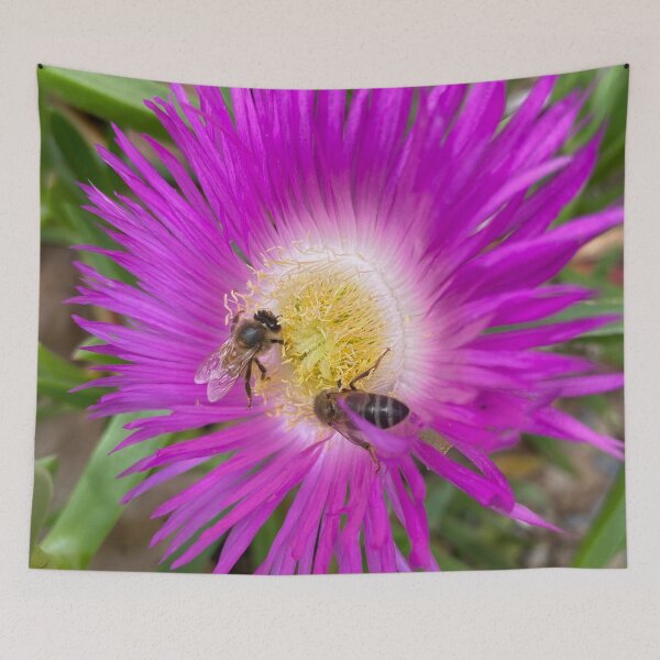 Item preview, Bees flying on Echinacea flower in spring  designed and sold by Donutlovers.