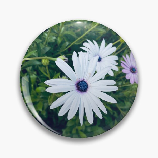 Item preview, White osteospermum ecklonis african cape daisy flower  designed and sold by Donutlovers.
