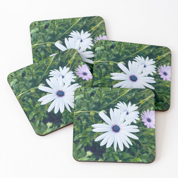 Item preview, White osteospermum ecklonis african cape daisy flower  designed and sold by Donutlovers.
