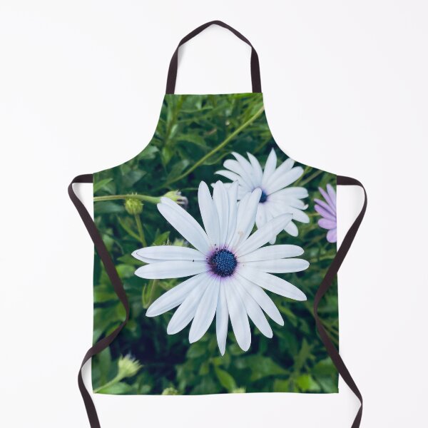 Item preview, White osteospermum ecklonis african cape daisy flower designed and sold by Donutlovers.
