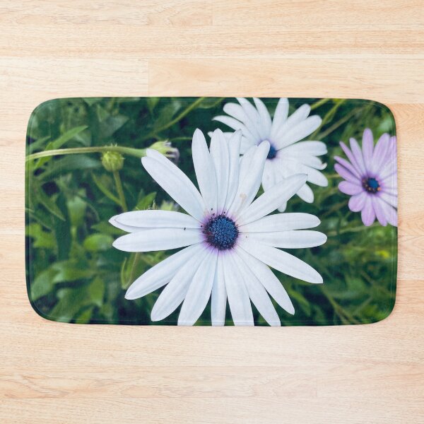 Item preview, White osteospermum ecklonis african cape daisy flower  designed and sold by Donutlovers.