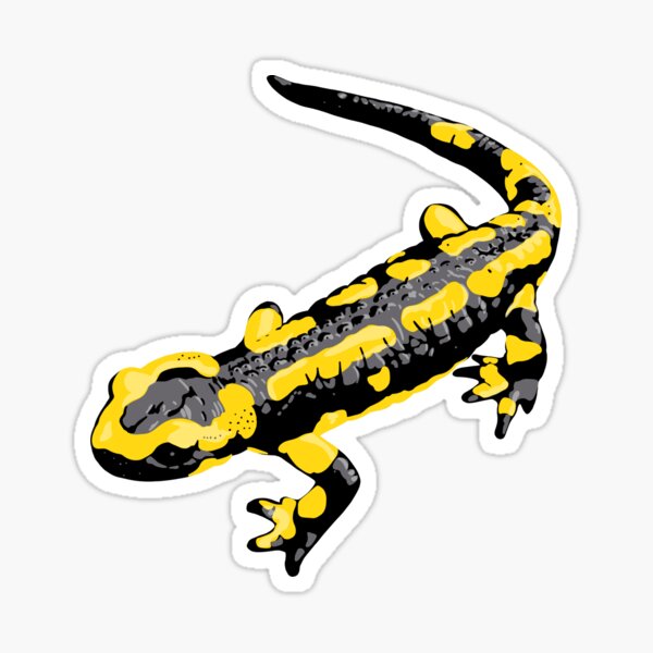 Item preview, Fire Salamander designed and sold by GeoCreate.