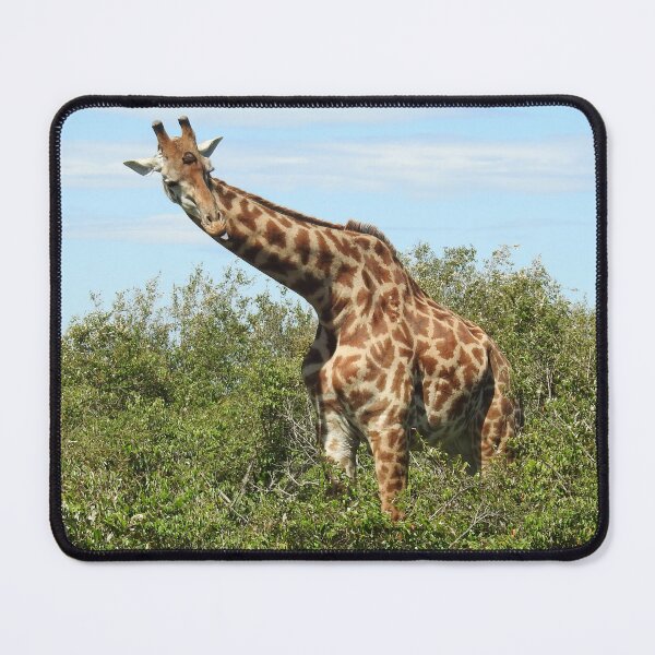 Item preview, Giraffe with his tongue out designed and sold by Faunagraphy360.