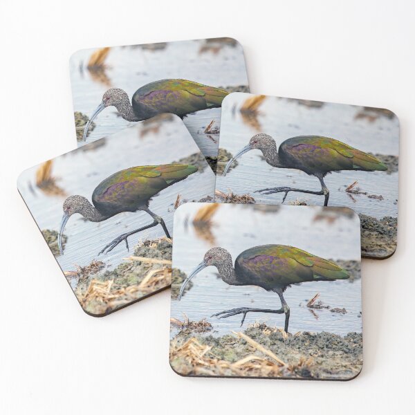 Item preview, Glossy Ibis  designed and sold by CarolM.