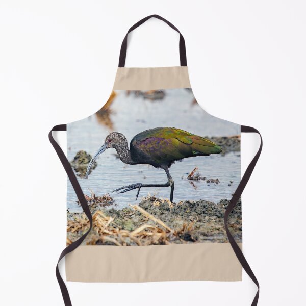 Item preview, Glossy Ibis  designed and sold by CarolM.