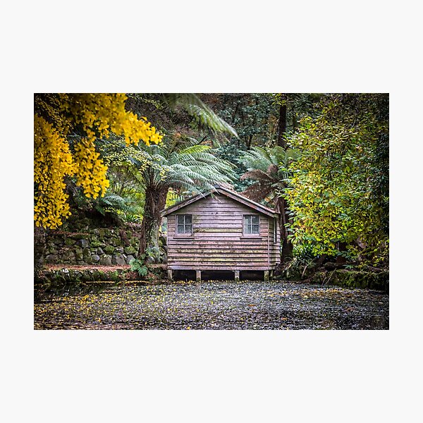 Item preview, Hut by the Lake designed and sold by susanzentay.