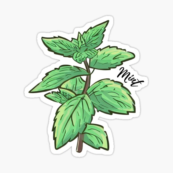 Mint Sticker