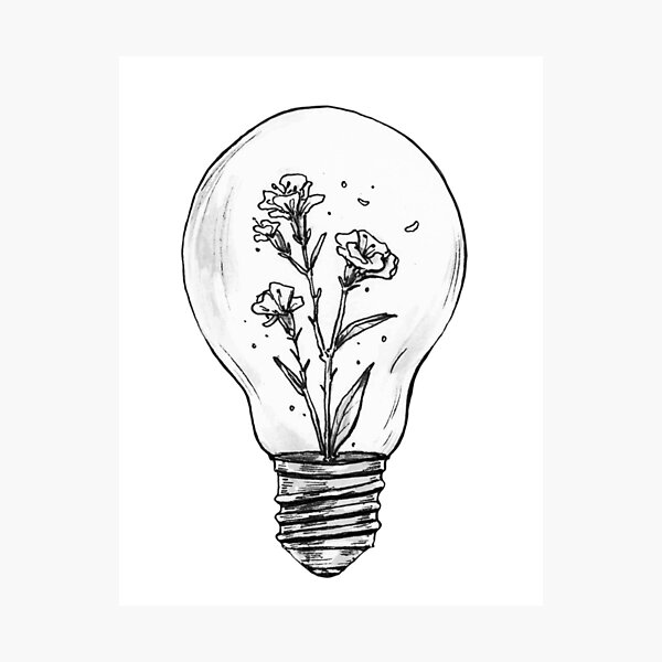 Terrarium Photographic Print