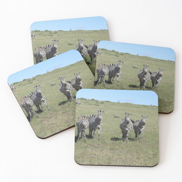 Item preview, Zebras designed and sold by Faunagraphy360.