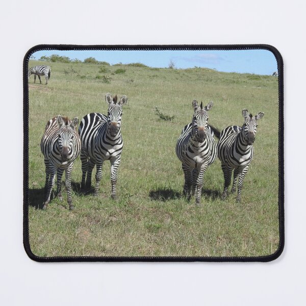 Item preview, Zebras designed and sold by Faunagraphy360.