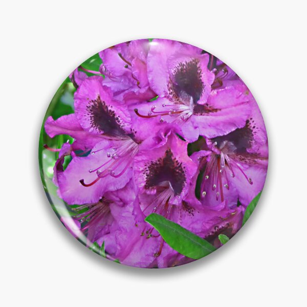 Item preview, Welcome to the newcomer designed and sold by jchanders.