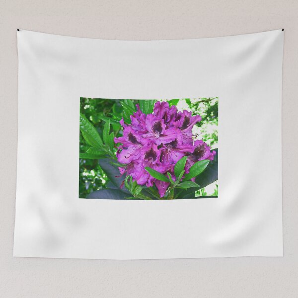 Item preview, Welcome to the newcomer designed and sold by jchanders.