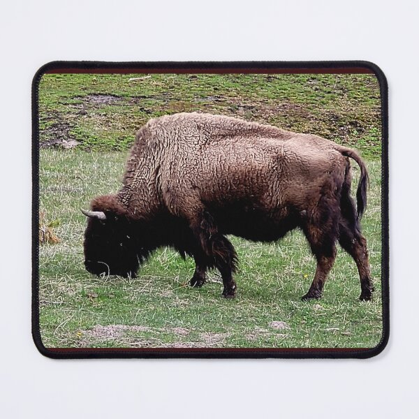 Item preview, Yellowstone Bison designed and sold by Linda La Guardia.