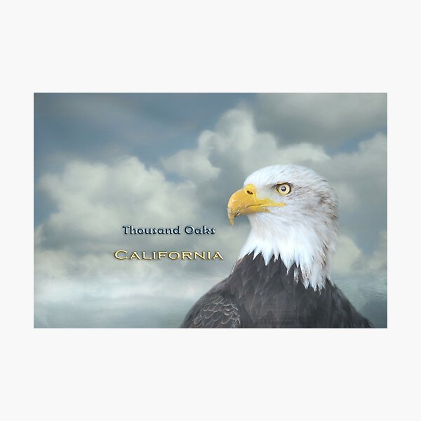 Item preview, Bald Eagle Thousand Oaks CA designed and sold by Elisabeth Lucas.