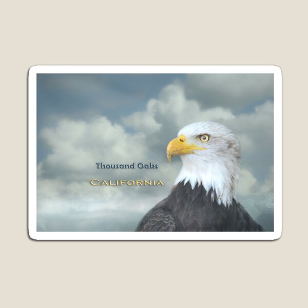 Item preview, Bald Eagle Thousand Oaks CA designed and sold by Elisabeth Lucas.