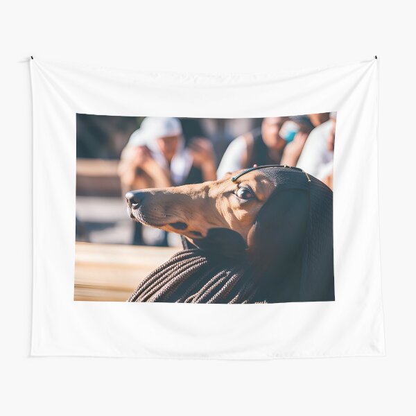 Anubis Greyhound Priest Sideways Look