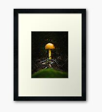 Isolation Framed Print