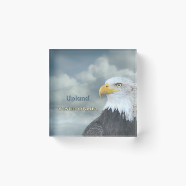 Item preview, Bald Eagle Upland CA designed and sold by Elisabeth Lucas.