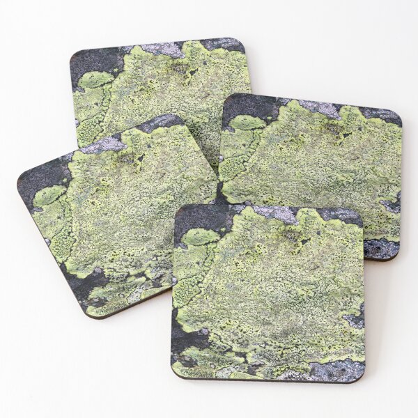 Item preview, lichen designed and sold by KathleenDawson.