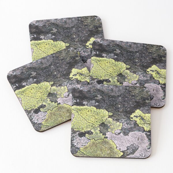 Item preview, lichen designed and sold by KathleenDawson.
