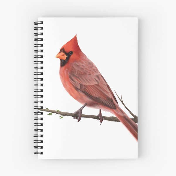 Item preview, Male Cardinal on a Tree Branch designed and sold by CreationsByBear.