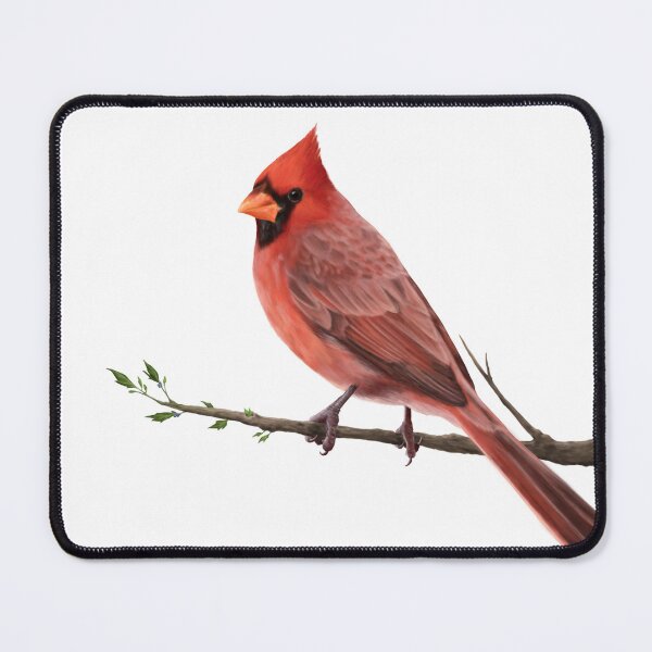 Item preview, Male Cardinal on a Tree Branch designed and sold by CreationsByBear.