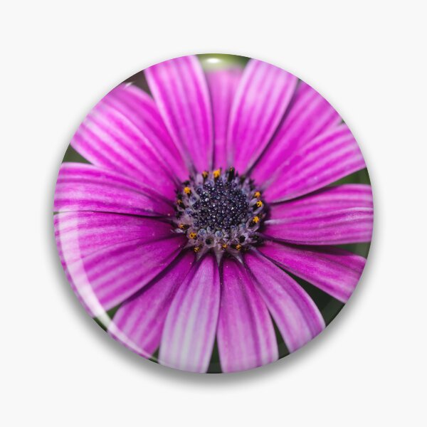 Item preview, Purple Rain Daisy designed and sold by Tanya C  Smith.