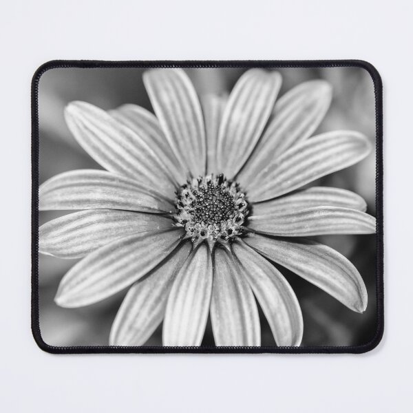 Item preview, Monochrome Rain Daisy designed and sold by Tanya C Smith.