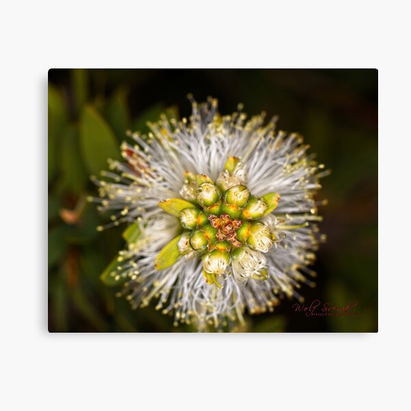 Item preview, Arboretum in autumn of 2023 (19) designed and sold by Wolf Sverak Photography.
