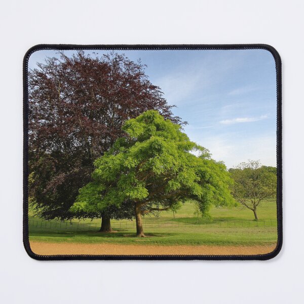 Item preview, Hampstead Heath - London - England designed and sold by aidan  moran.