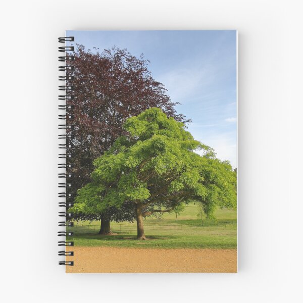 Item preview, Hampstead Heath - London - England designed and sold by aidan  moran.