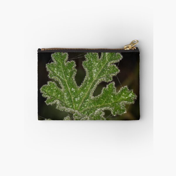 Item preview, Arboretum in autumn of 2023 (13) designed and sold by Wolf Sverak Photography.